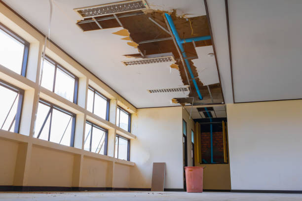 Best Ceiling water damage repair  in Dover Beaches South, NJ