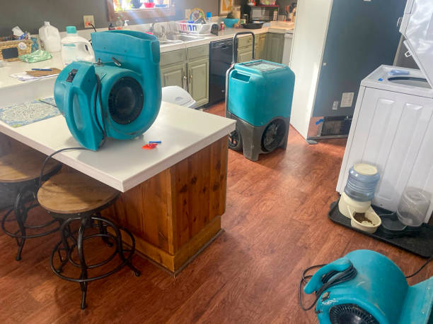 Best Basement water damage restoration  in Dover Beaches South, NJ