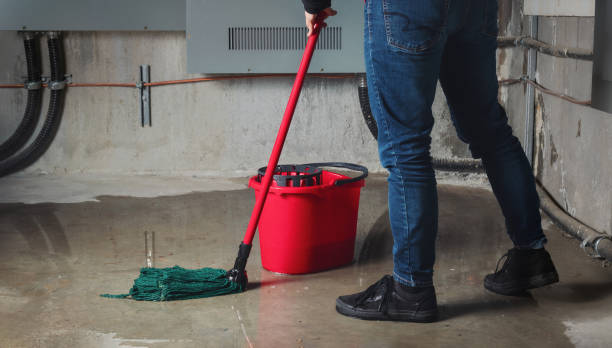  Dover Beaches South, NJ Water damage restoration Pros