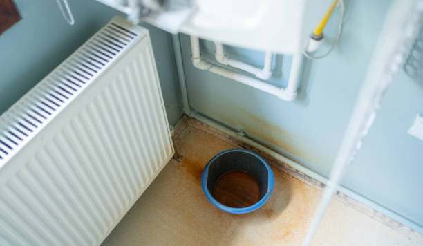 Best Professional water damage repair  in Dover Beaches South, NJ